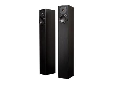 Totem Acoustic Ultra-Slim Design Floorstanding Speaker - Arro (B) 