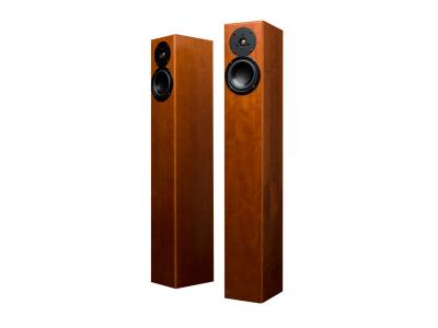Totem Acoustic Ultra-Slim Design Floorstanding Speaker  - Arro (C)