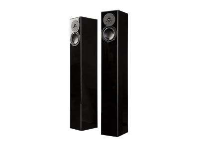 Totem Acoustic Ultra-Slim Design Floorstanding Speaker  - Arro (D)