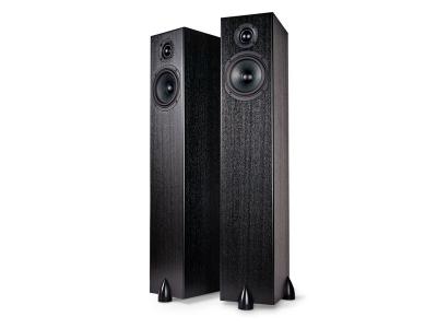 Totem Acoustic High Efficiency Ultra Slim Design Loudspeaker - Sky Tower (B)