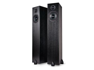 Totem Acoustic High Efficiency Ultra Slim Design Loudspeaker - Sky Tower (B) 