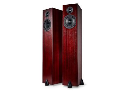 Totem Acoustic High Efficiency Ultra Slim Design Loudspeaker - Sky Tower (M)