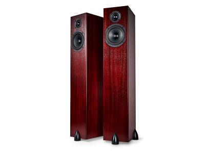 Totem Acoustic High Efficiency Ultra Slim Design Loudspeaker - Sky Tower (M) 