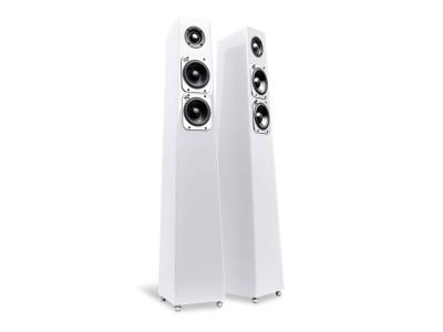 Totem Acoustic Tribe Tower Floor Standing Speaker - Tribe Tower (I)