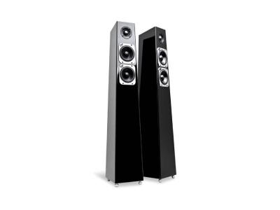 Totem Acoustic Tribe Tower Floor Standing Speaker - Tribe Tower (D)