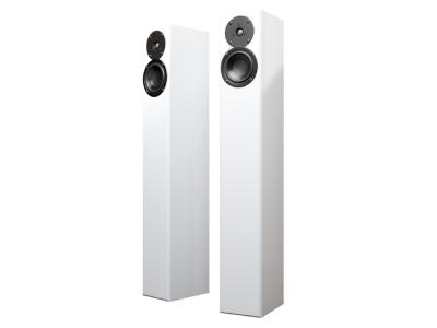 Totem Acoustic Ultra-Slim Design Floorstanding Speaker In Ice - Arro (I)