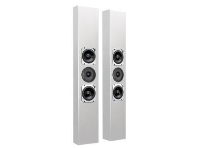 Totem Acoustic Ultra Slim On-Wall Speaker - Tribe III (W)