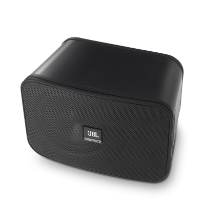 JBL Control X  Indoor , Outdoor Speakers in Black - CONTROLXBLKAM